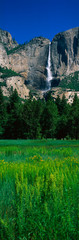 This is the Bridal Veil Falls in spring. There is a spring meadow in the foreground with small flowers blooming.