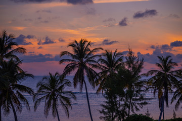 Obraz premium Palm trees and ocean with tropical orange sunset