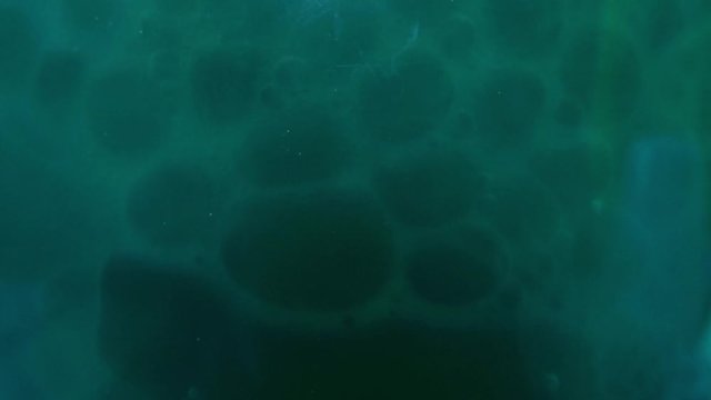 Blue And Green Bubbly Liquid Inside A Tank In A Laboratory.