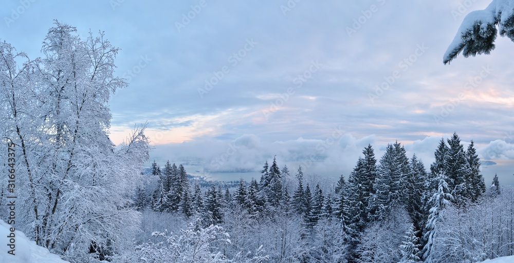 Wall mural Lions Gate Bridge and Downtown Vancouver in winter with snow