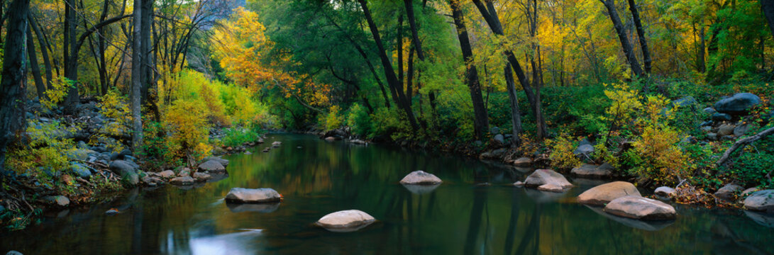 This is Cottonwood Canyon in the autumn. There is a stream flowing through the canyon.