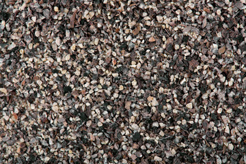 Black pepper spices. Top view of ground black pepper.