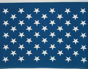 These are the stars of the American flag. They lay flat against their blue background.