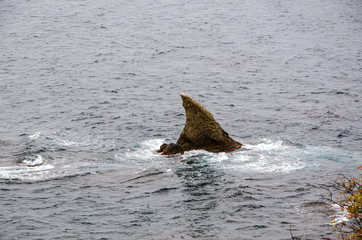 Sharp rock protruding in the form of a shark fin above the surface of the sea.