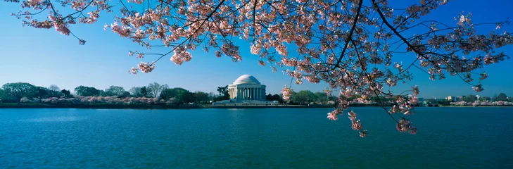 Fleecedeken met foto Kersenbloesem This is the Jefferson Memorial with cherry blossoms bordering the top of the frame. The Tidal Basin is in front of the memorial all against a blue sky.  © spiritofamerica