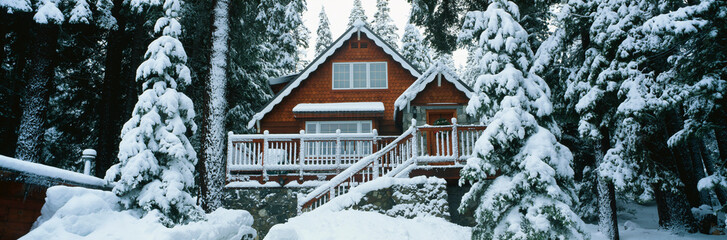 This is a chalet style wooden home covered in freshly fallen snow. The trees in front are also...