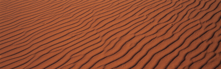 These are the pink sand dunes in Coral Pink Sand Dunes State Park. There are line patterns in the sand from the wind.
