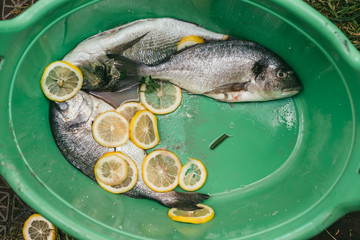 fresh and raw fish with lemon and parsley on the grid Barbeque in the garden in summer ready and...