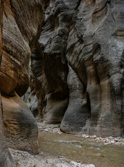 Bulbous Rock Formations In The Narrows