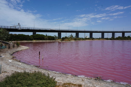 「レイク」の画像 954 件の Stock 写真、ベクターおよびビデオ Adobe Stock