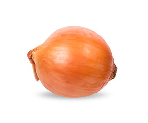 one yellow onion isolated on white background with clipping paths
