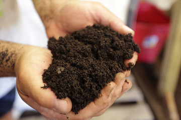 A man holds moist potting soil in his hands.