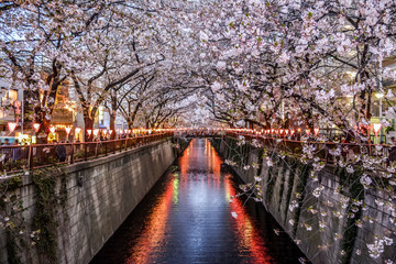 Fototapeta na wymiar 東京都目黒区中目黒を通る目黒川のライトアップされた夜桜