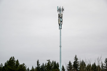 Mobile communications tower, panel antennas, tops of evergreen trees, gray stormy day
