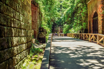 夏の神奈川県横須賀市にある猿島の遊歩道