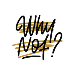 Why not question. Inspirational quote isolated on white background. Vector typography for poster, t-shirt or card. Vector calligraphy art.