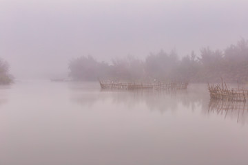 Circular bamboo fish traps with Great egret birds resting on sticks. Ho river near Hoi An, Vietnam