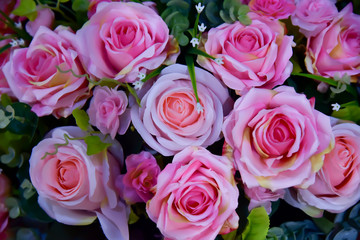 Pink roses represent love and care.