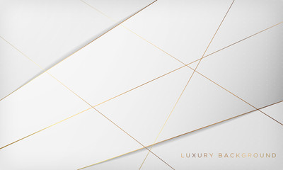 White and gray abstract luxury background with golden line. Vector illustration.