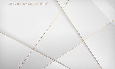 White and gray abstract luxury background with golden line. Vector illustration.
