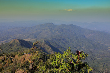 Beautiful landscape views of mountains and trees