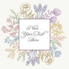 Medical herbs vintage frame