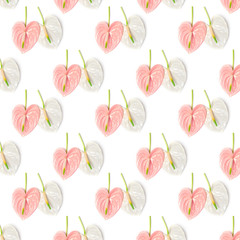 Pink flower in the shape of a heart on a white background.