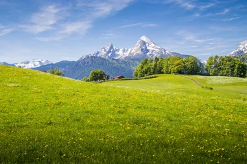 Fotobehang Idyllisch landschap in de Alpen met bloeiende weiden en besneeuwde bergtoppen in de lente © JFL Photography