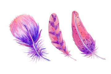 Easter watercolor set with feathers lilac pink, blue color