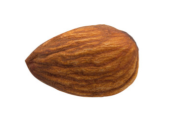 Almond on white background
