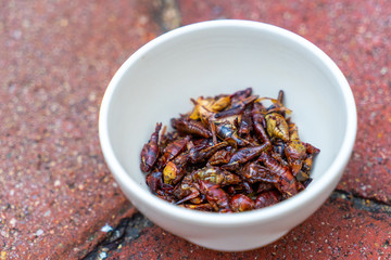 Oaxacan Traditional food 