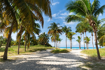 Sandy road to the sea. the path among the palm trees. Summer. Sunny day. Noon. Cuba, the beach of...