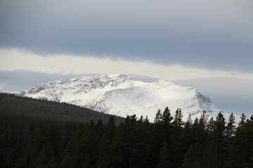 Snowy Mountain Top, Jasper National Park, Alberta
