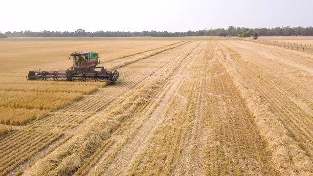 Orbiting shot of a windrower coming towards camera