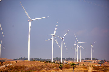 environment