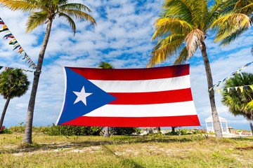 puerto rico Flag Among Palm. Puerto Rican flag against tropical palm trees and blue sky. Beautiful...