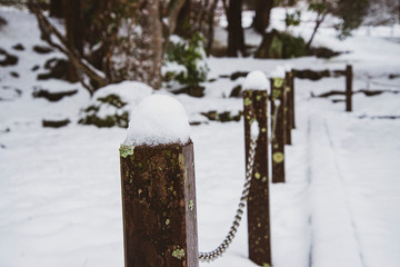 初雪