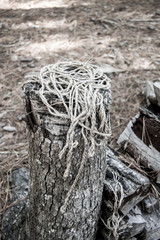 Pile of loose rope