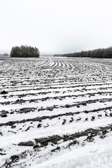 Agricultural fields are covered with pure white snow.