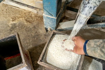 Some part of rice mill machine during working.,Flying rice in the basket © คุณ ศรัญ