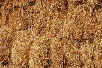 Stack of bale hay rice straw Background