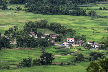 Fototapeta na wymiar Small valley in Nan Provice in northern thailand