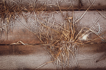 Hoarfrost on dry grass on a wooden board