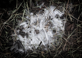 Ice in a frozen puddle as a background