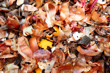 Onion husk banana peel in trash can