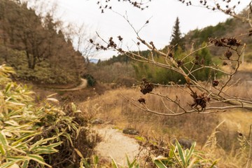 裏磐梯 浄土平 雲に向かう磐梯吾妻スカイラインの景色 磐梯朝日国立公園 福島県 Wall Mural Yumiko