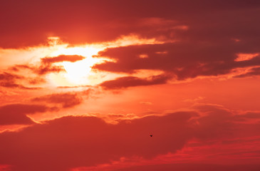 Colorful clouds at dawn of the sun