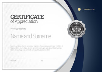 Silver Certificate template. Diploma of modern design or gift certificate. Vector illustration.