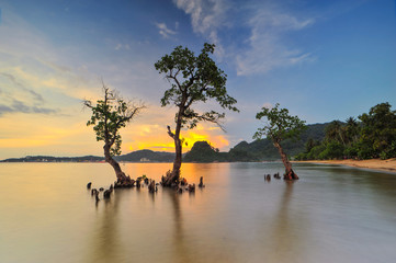 Nirwana Sunset
