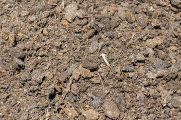 dry, fine fertilizer from a cow